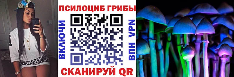 гидра ТОР Юрга Галлюциногенные грибы ЛСД